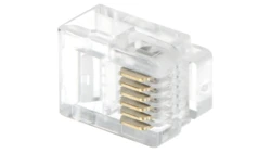 Wtyk telefoniczny RJ12*P100