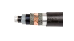 Kabel energetyczny XRUHAKXS 1x70/25 RM 12/20kV /bębnowy/