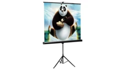 Ekran Projekcyjny 200x200 cm 112 Cali SBOX PSMT-112 Statyw