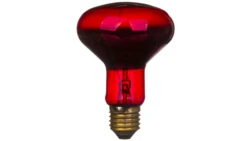 Promiennik podczerwieni E27 75W R80RB do terrarium PRO-1466