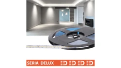 Taśma Delux 24V 160led 6500K 2000lm SMD2835 (10) PL5Y