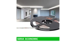 Taśma Economic IP63 12V 60led W 6000-7000K SMD2835 (5)