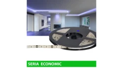Taśma Economic IP63 12V 60led niebieska SMD5050 (5) wyc.