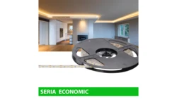 Taśma Economic IP63 12V 120led WW 2800-3200K SMD2835 (25)
