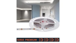 Taśma Premium 12V 60led 6500K 500lm SMD2835 (5) PL5Y