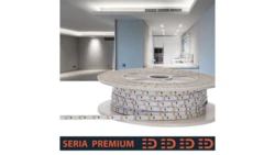 Taśma Premium 12V 60led 6500K 500lm SMD2835 (100) PL5Y