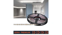 Taśma Premium 24V 210 led 6500K 800lm SMD2835 (10) PL5Y