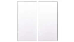 Klawisz 2-biegunowy przycisk srebro tworzywo CWIZ-02/03 126048